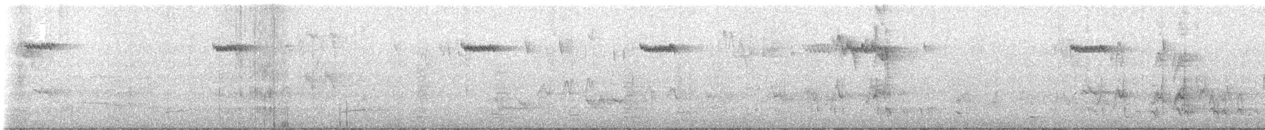 Agateador Americano - ML645761137