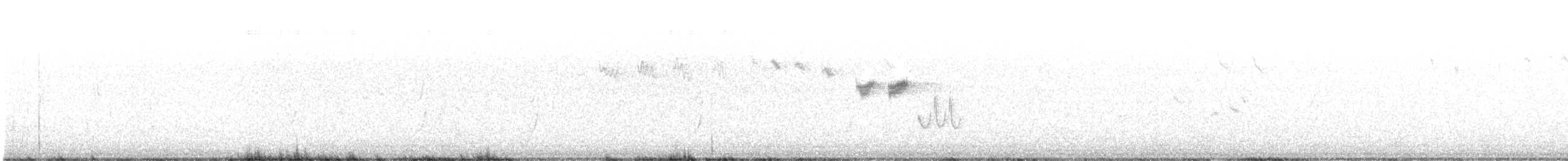 Maluro de Pilbara - ML645761188