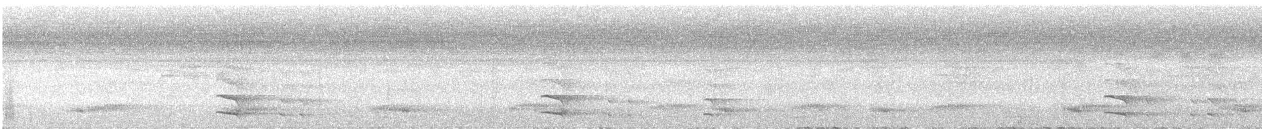 Tucán Pechigualdo (swainsonii) - ML645761474