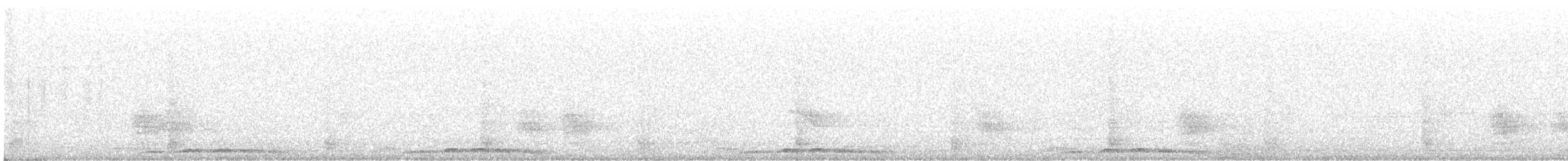 Tórtola Senegalesa - ML645761478