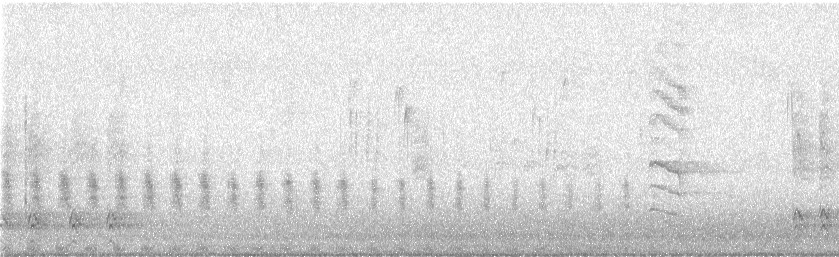 Virginia Rail - ML645762516