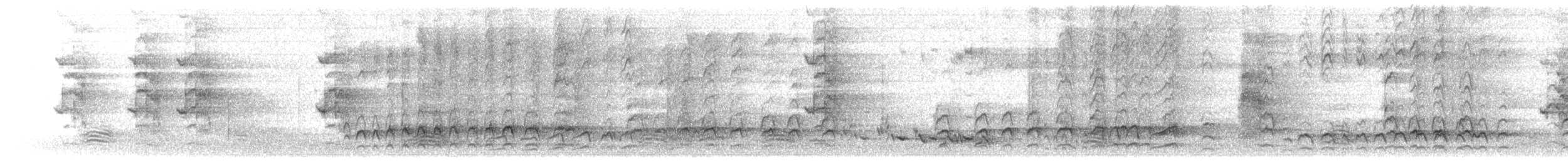tårepirol - ML645764430