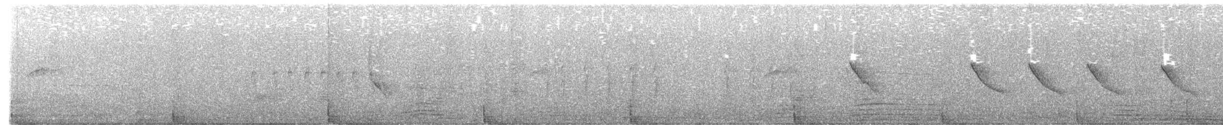 langstjertskredderfugl - ML645764551