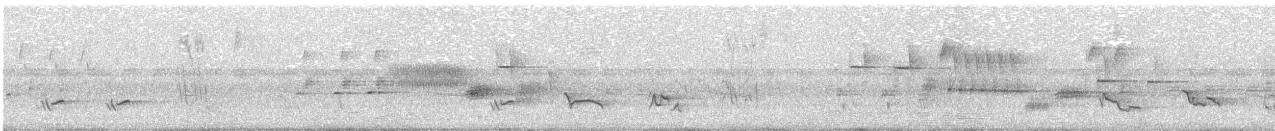 Zozo papargorria - ML645765967