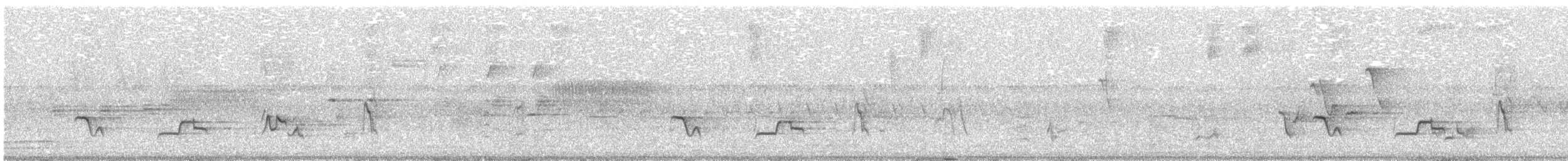 American Robin - ML645765968