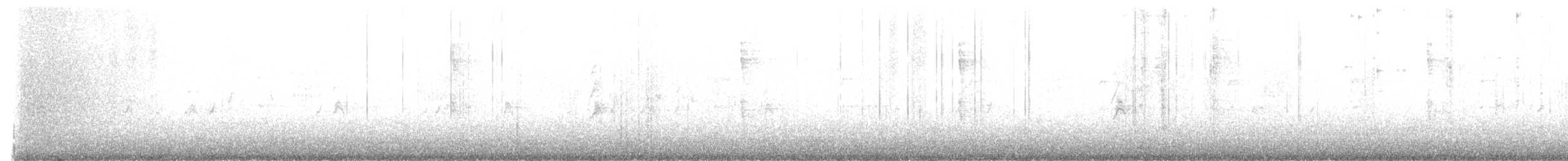 Piquituerto Común (tipo 10) - ML645766638