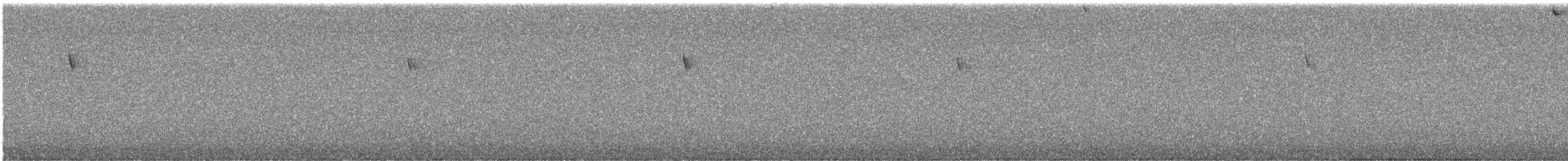 Hegaztia sp. - ML645767131