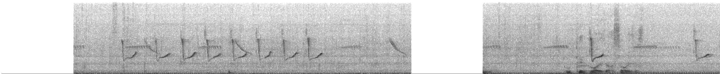 Common Tailorbird - ML645767834