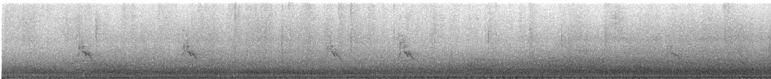 Painted Redstart - ML645768073