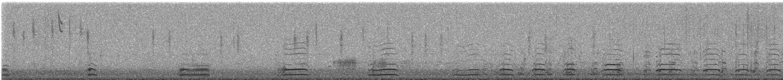 Branta kanadar handia - ML645768152