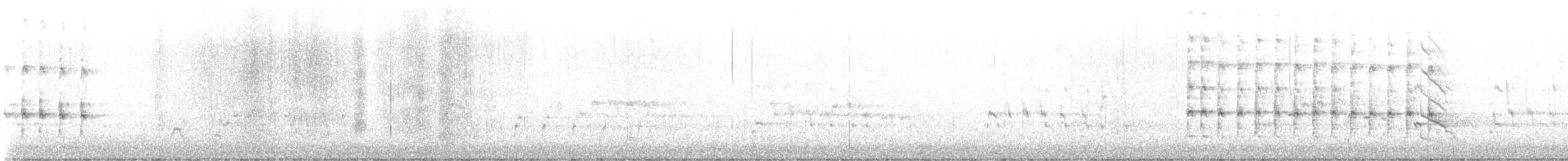 Virginia Rail - ML645768204