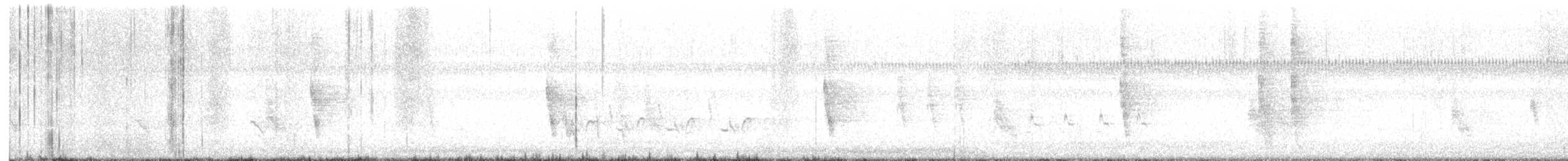 Northern Mockingbird - ML645768305