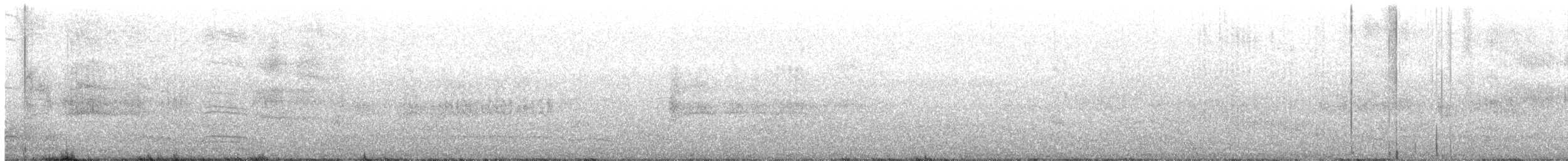 Tropical Shearwater - ML645768315