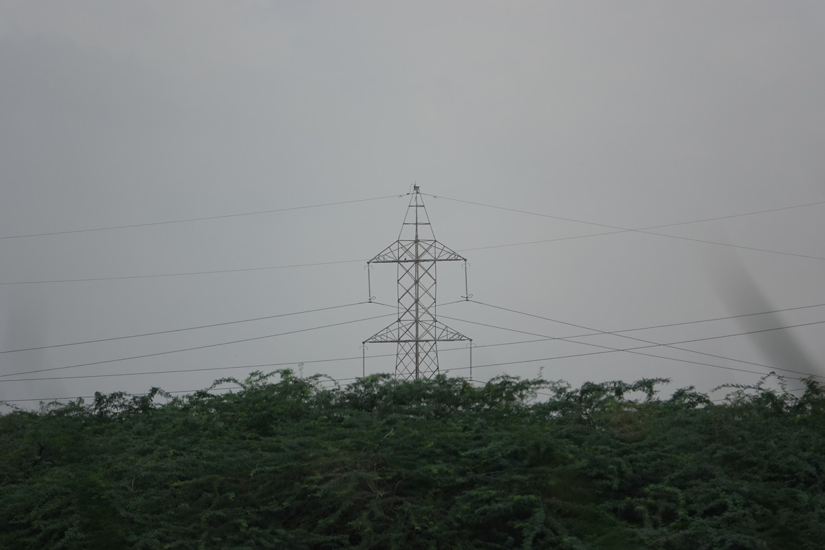 ハヤブサ - ML645768555