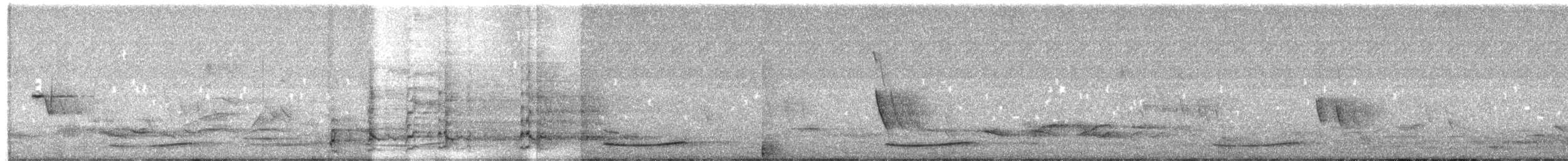 Pacific Koel - ML645768571