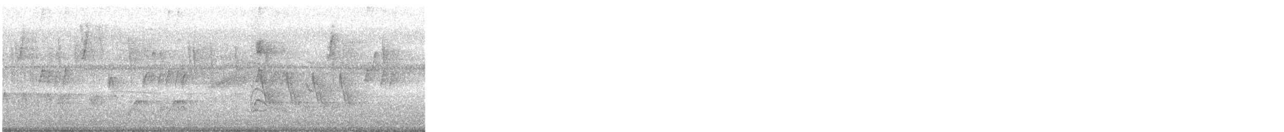 Желтобрюхий тоди-мухолов - ML645768776