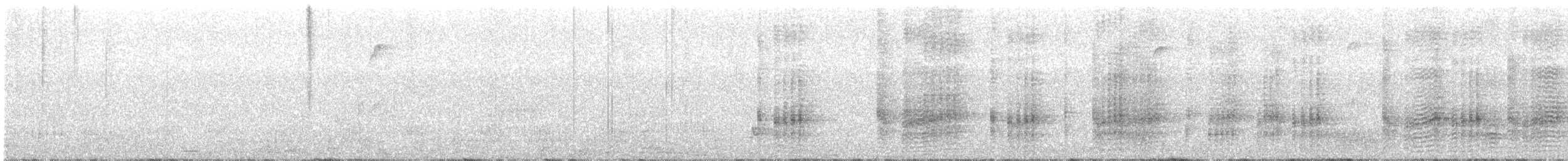 Чёрная кланяющаяся крачка - ML645769031