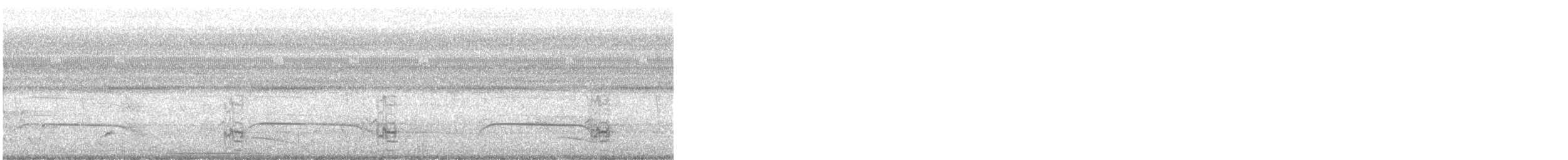 White-tipped Dove - ML645769156