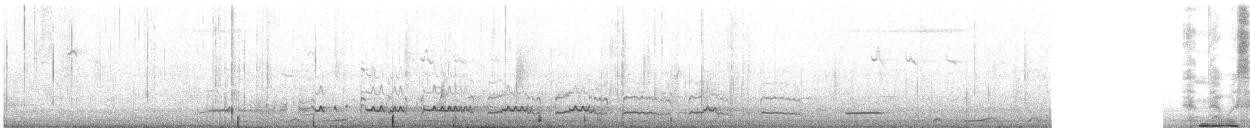 חרמשון קטן (סיבירי) - ML645770075