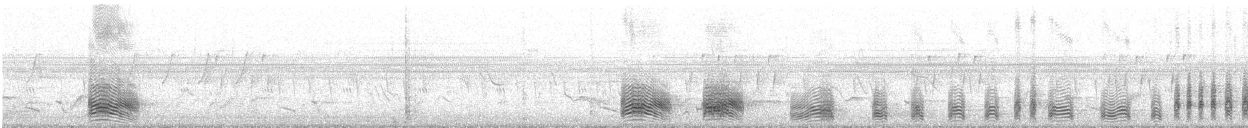 Erguvani Gökkuzgun [afer grubu] - ML645770534