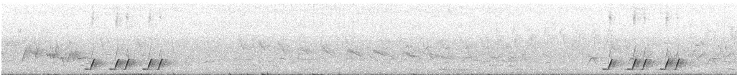 Dört Renkli Çalıkasabı [quadricolor grubu] - ML645770569