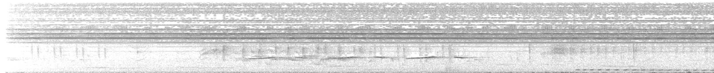 Klaas's Cuckoo - ML645770640