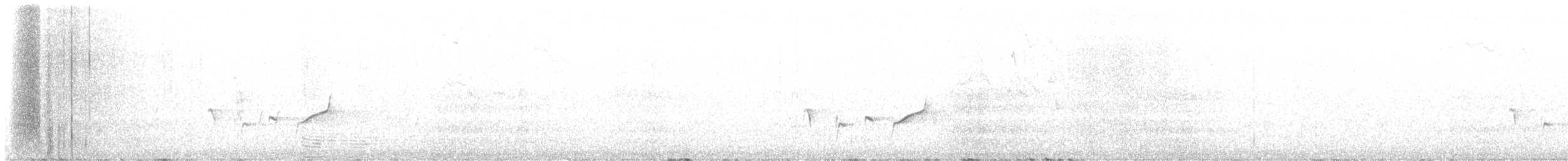 Southern Scrub-Robin - ML645771112