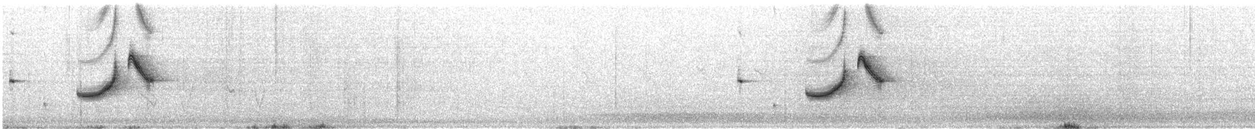 Щетинкодзьоб бурий - ML645771274