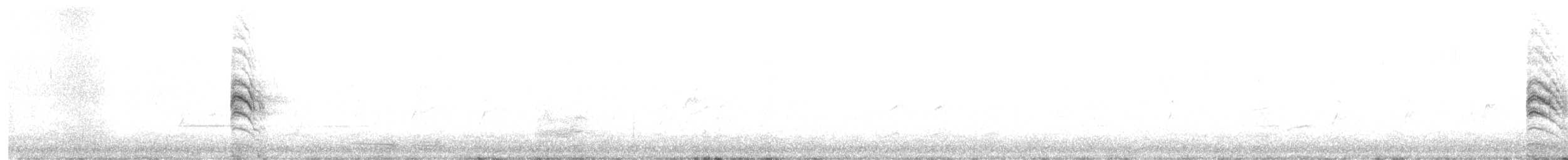 Левинія австралійська - ML645771468