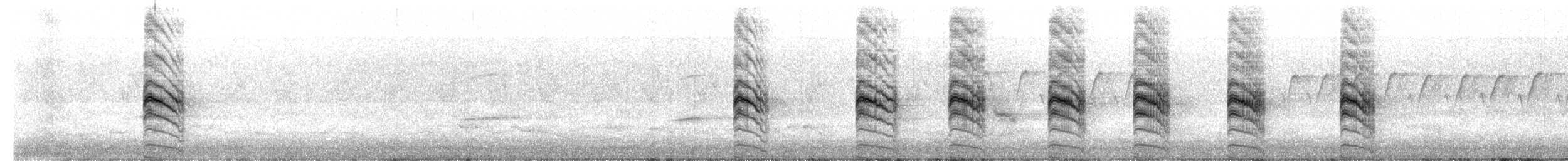 Левинія австралійська - ML645771473