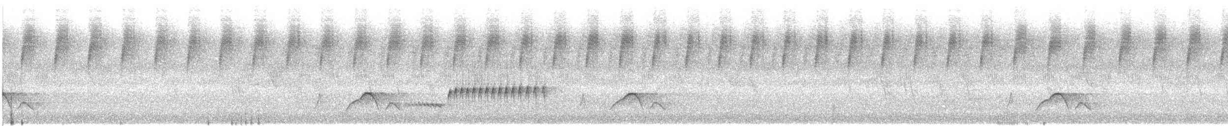 Чагарниця маніпурська - ML645771478