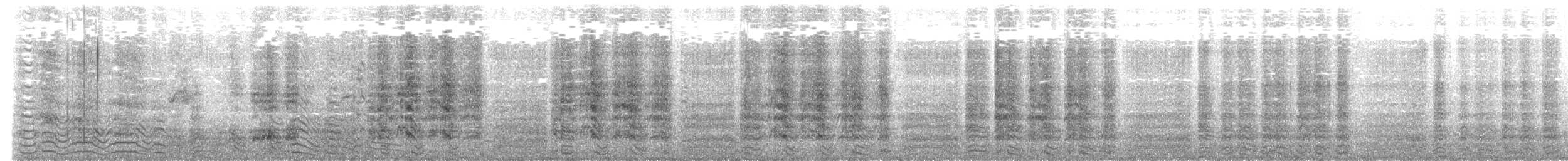 Буревісник тонкодзьобий - ML645771775