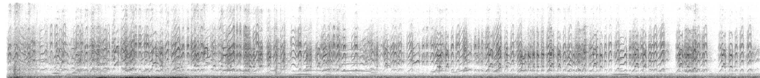 Крячок австралійський - ML645771821