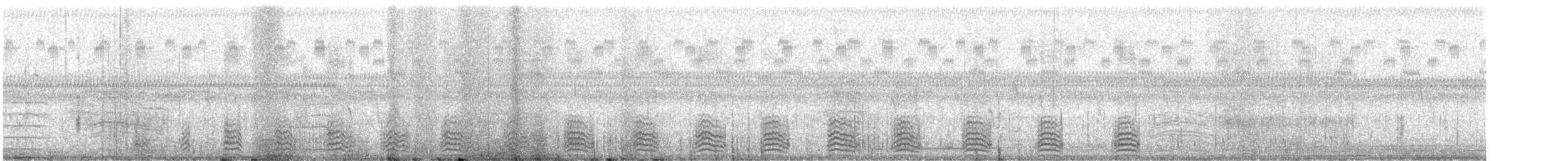 Ring-necked Duck - ML645772108