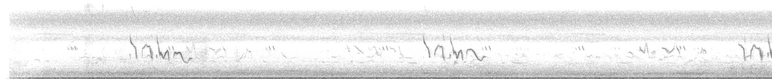 Посмітюха малабарська - ML645772494