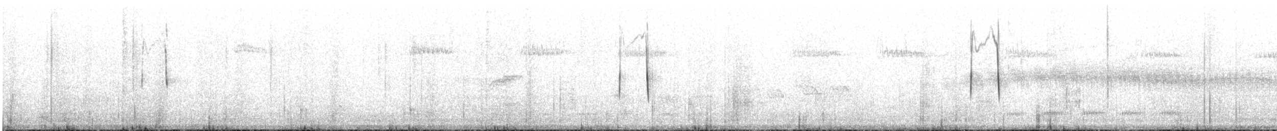 Chestnut-winged Cinclodes - ML645774117