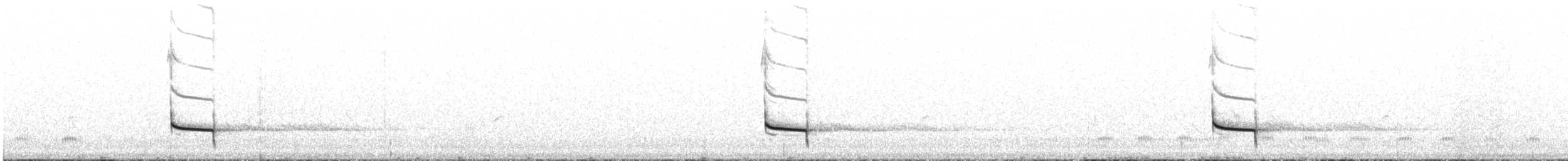 Boyaca Antpitta - ML645774161