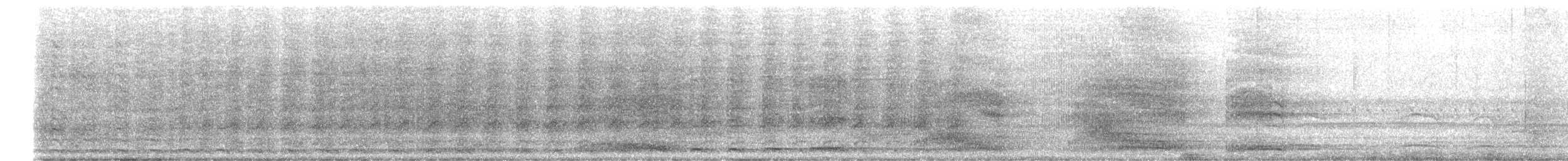 Channel-billed Cuckoo - ML645774190