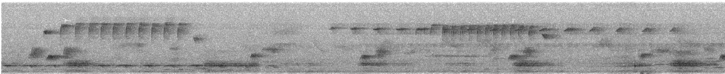 Plain Flowerpecker - ML645774235