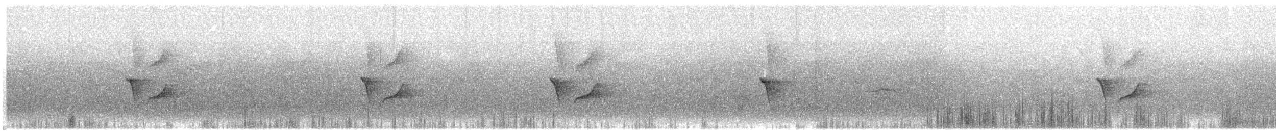 カンムリオウチュウ - ML645774418