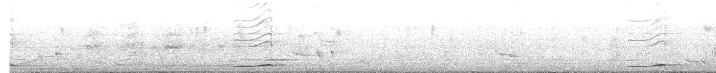 grånebbkoel - ML645774459