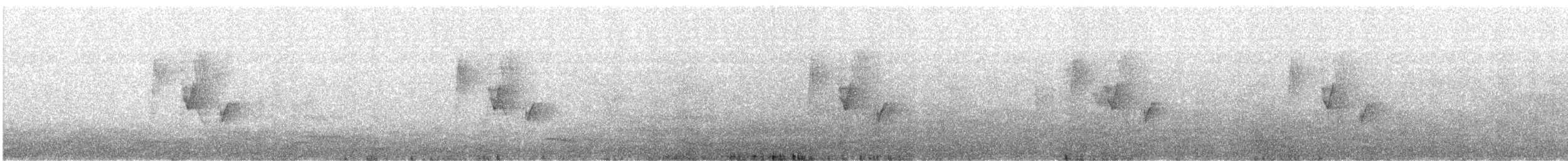 Akça Büyük Baştankara (commixtus) - ML645774569