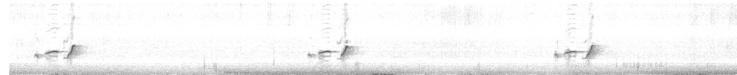 sørkrattskvett - ML645774700