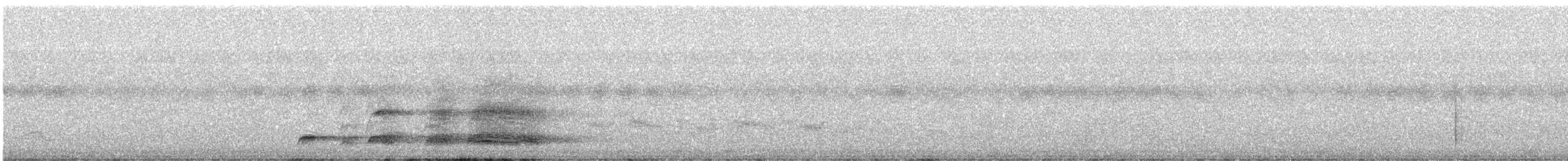 Perlfrankolin - ML645774750