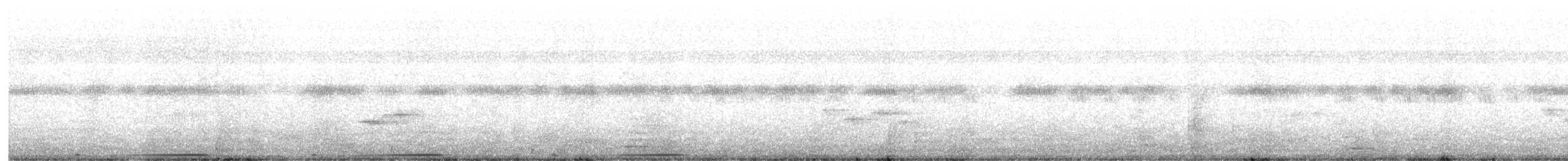 Glanztaube - ML645774792