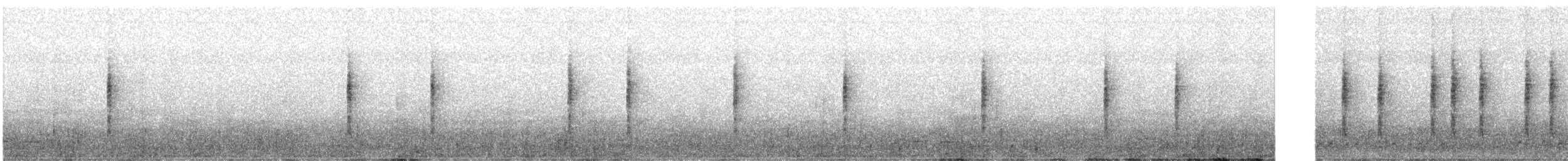 Ржавчатая пестрогрудка - ML645775136