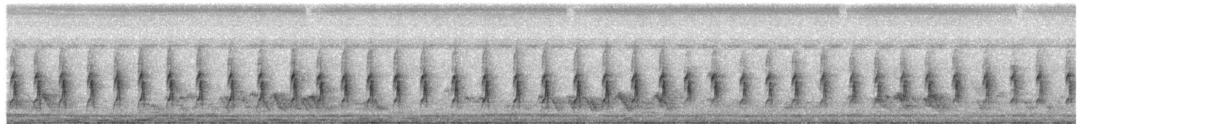 Common Tailorbird - ML645776293