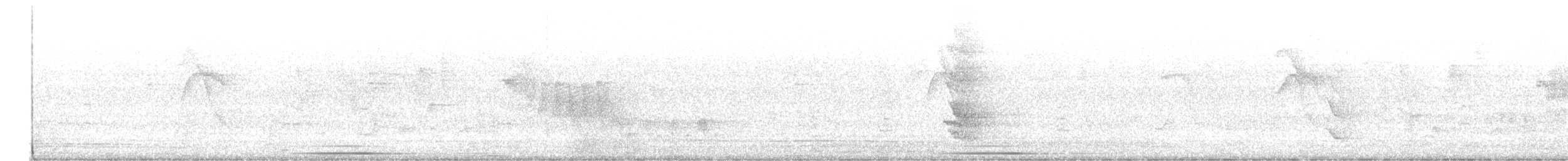 Gray-fronted Dove - ML645776347