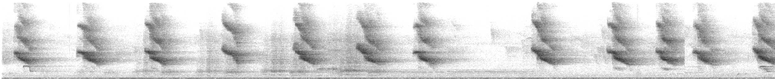 Violaceous Jay - ML645776353