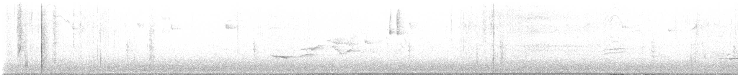 Hermit Thrush - ML645776367